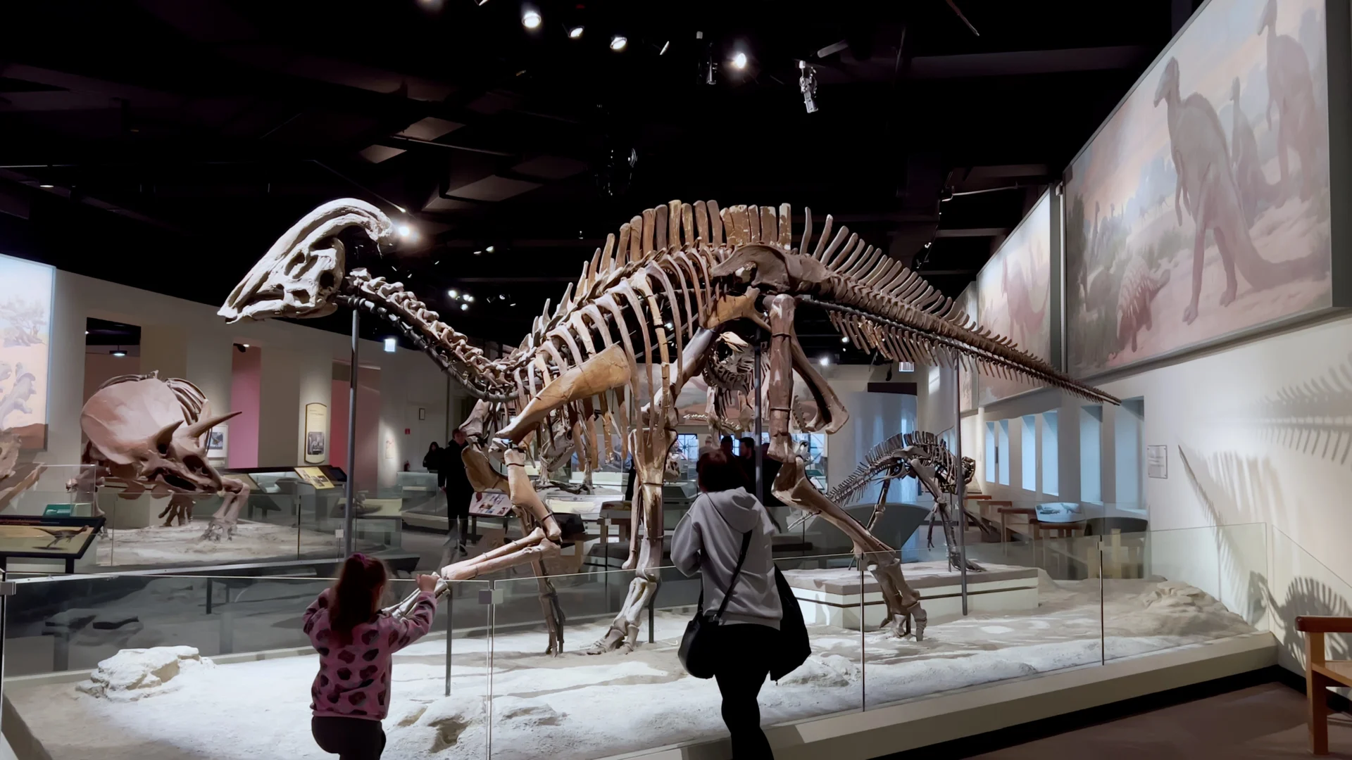 Besucher betrachten Dinosaurierskelette in einer Galerie des Field Museum in Chicago