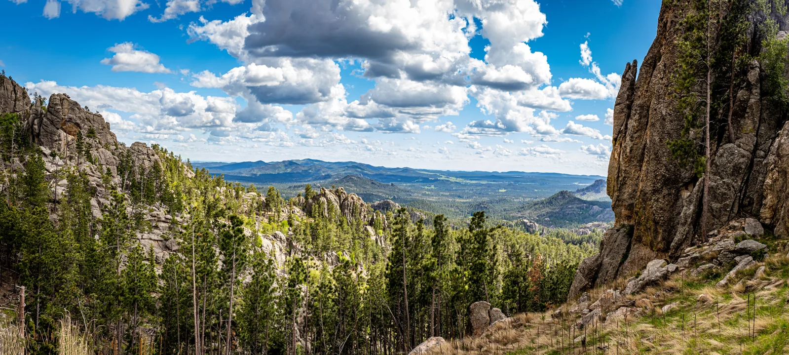 Phong cảnh granite dọc Needles Highway trong Custer State Park