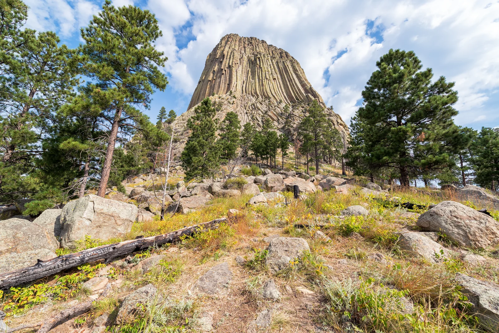 Các cột đá Devils Tower nhìn từ dưới lên