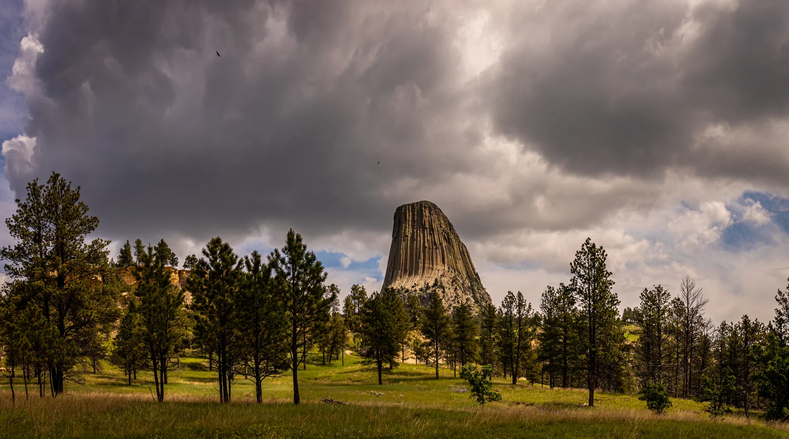 Devils Tower nhìn từ Joyner Ridge