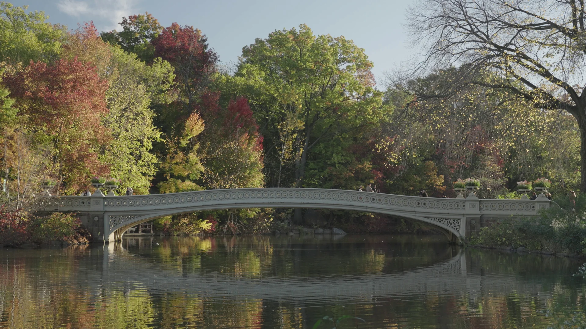 Bow Bridge sobre o Lake do Central Park no outono