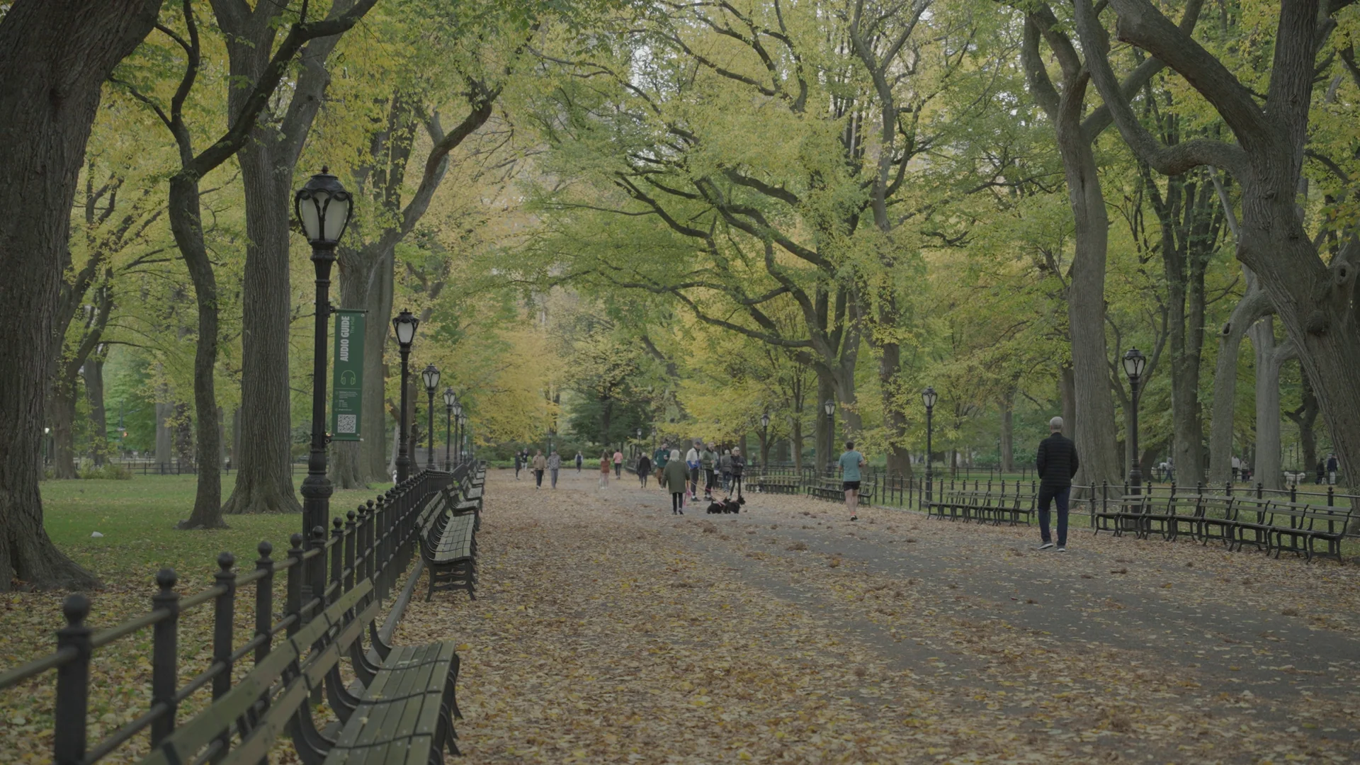 Árvores de outono ao longo da alameda The Mall no Central Park