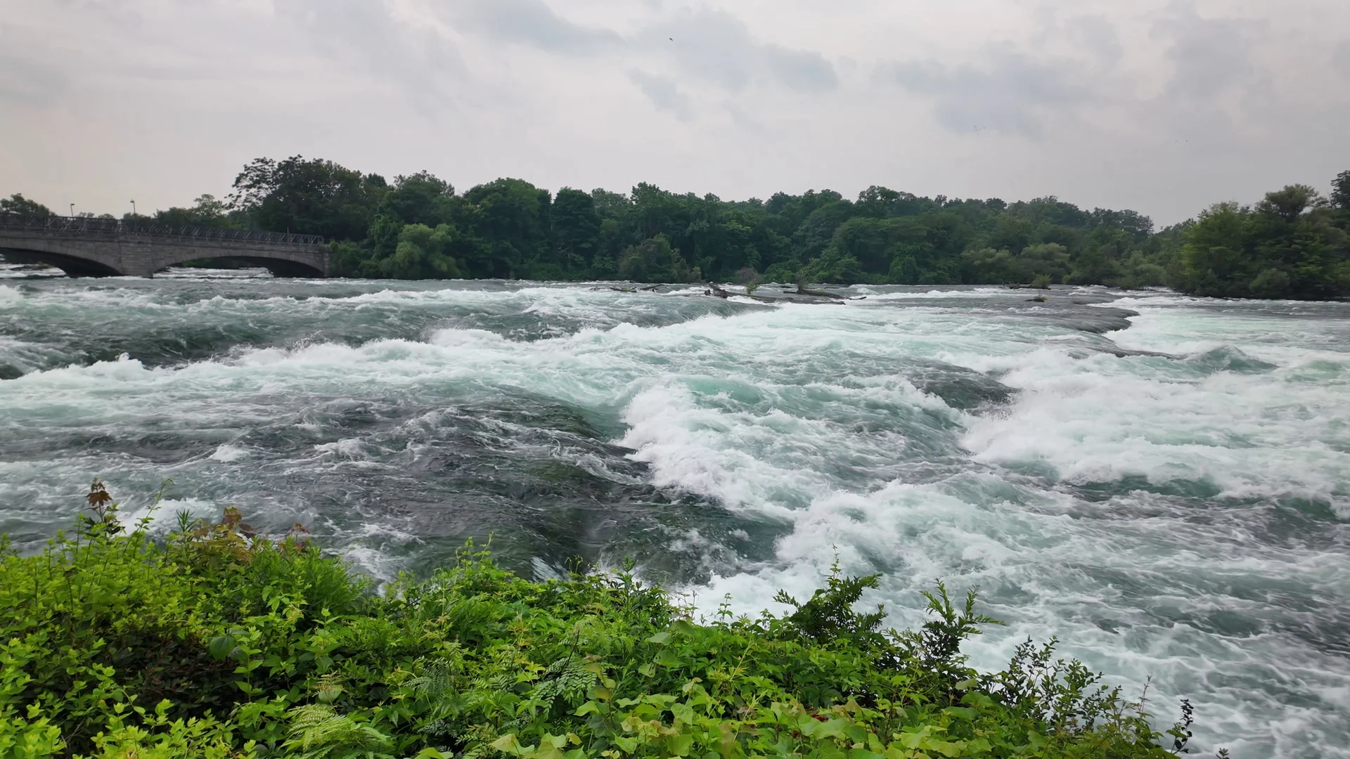 White water and rocky banks on the Niagara River