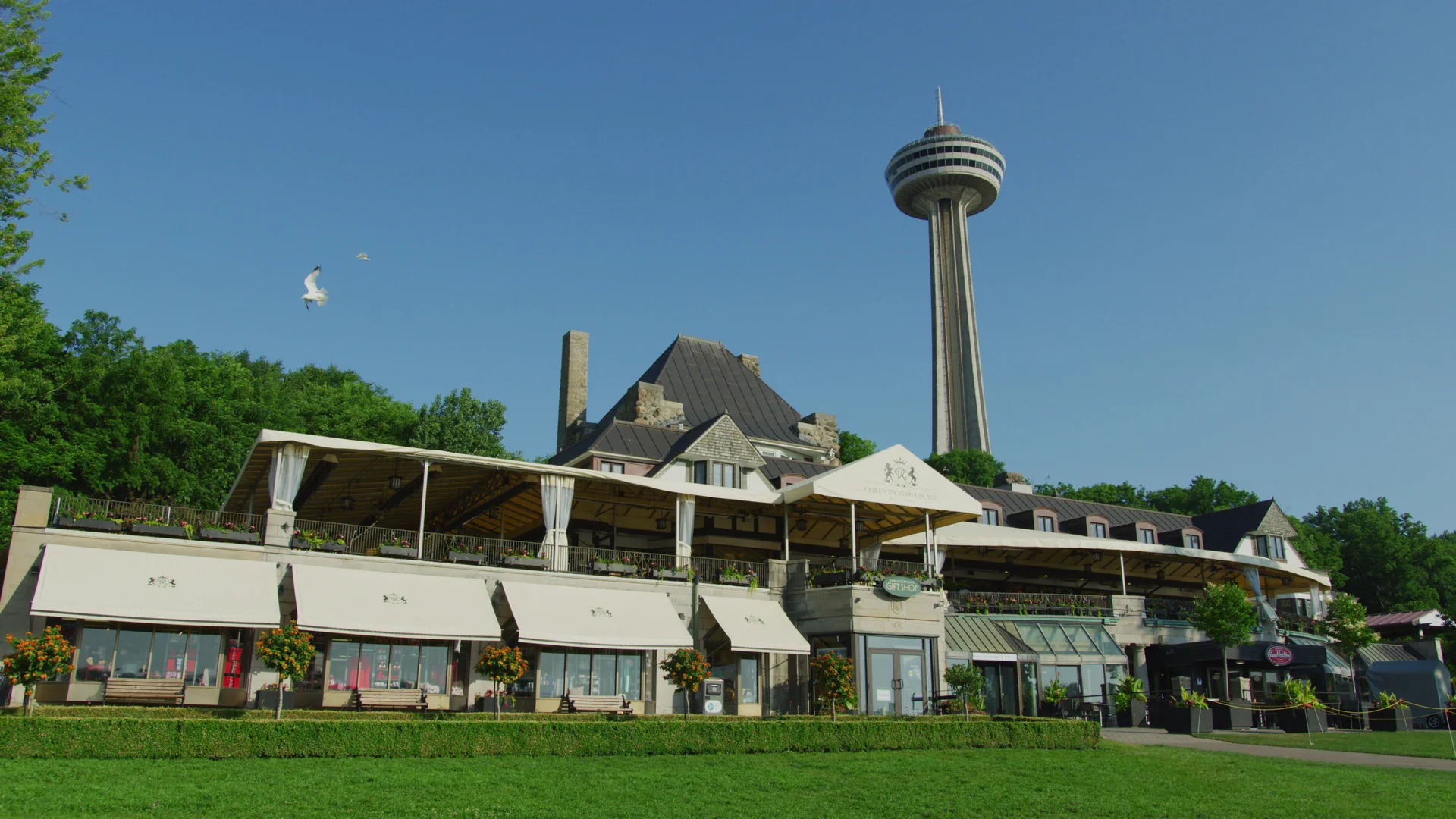 Skylon Tower above Queen Victoria Place