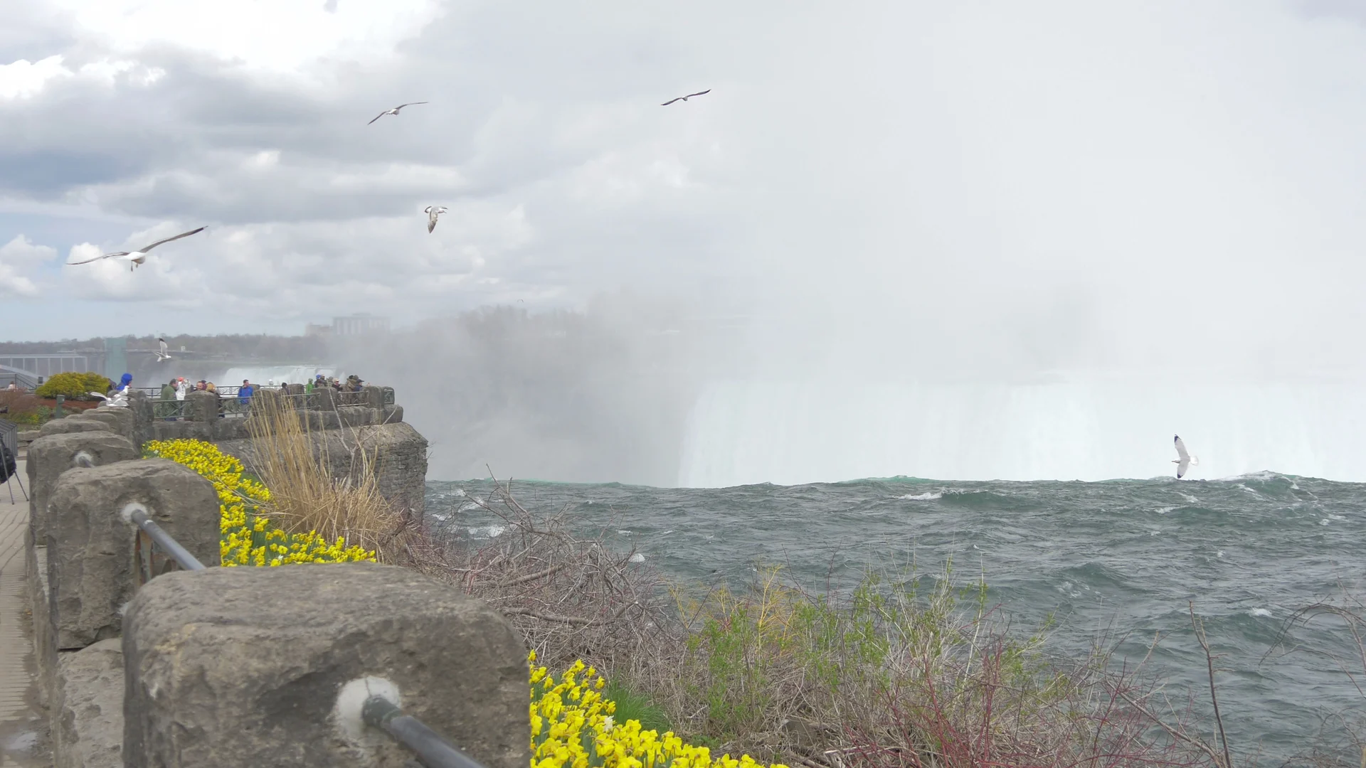 Visitors beside the brink of Horseshoe Falls